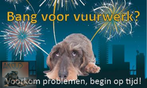 vuurwerk_honden