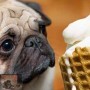 Tip voor de lente: omgaan met allergieën