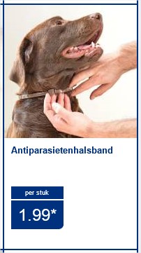 antiparasietenhalsband