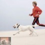 Overgewicht bij hond en kat