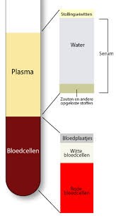 bloedonderz02