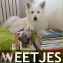 Hondenweetjes