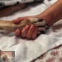Vragen rond euthanasie