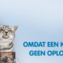 Tandverzorging bij hond en kat